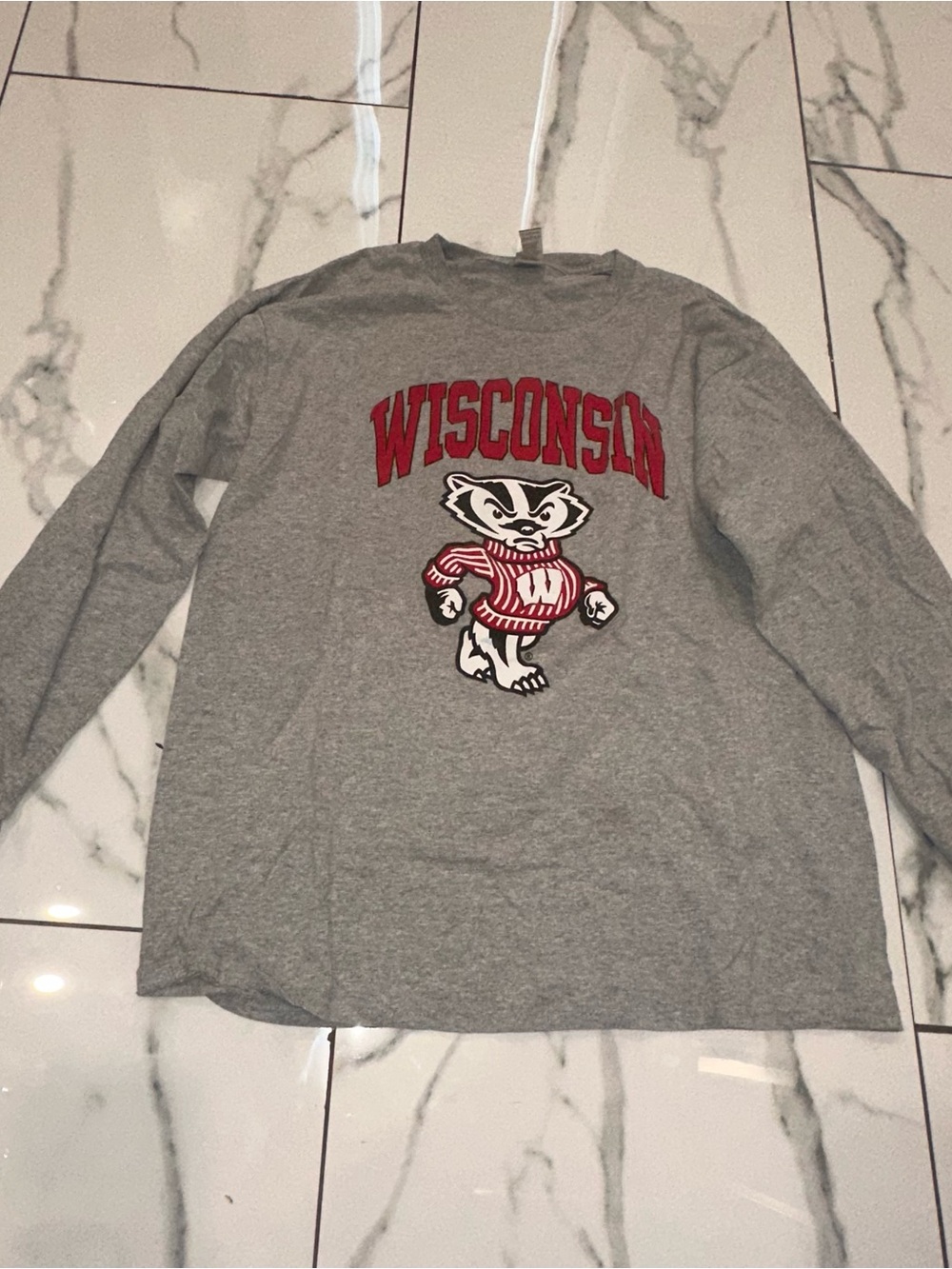 Gildan Gray Long-Sleeve Kids Tee with Red Wisconsin Text & Mascot
